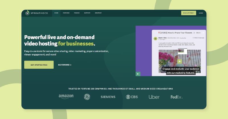 alternative video platforms